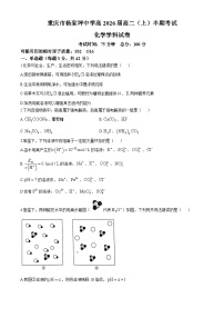 重庆市杨家坪中学2024-2025学年高二上学期中期考试化学学科试卷