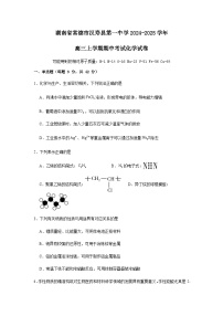 湖南省常德市汉寿县第一中学2024-2025学年高三上学期11月期中考试化学试题（含答案） (1)