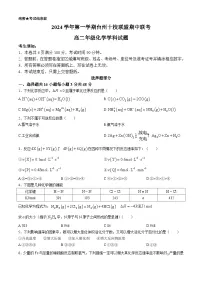 浙江省台州市十校联盟2024-2025学年高二上学期11月期中考试化学试题（含答案）