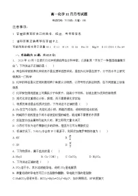 河南省周口市沈丘一高2024-2025学年高一上学期11月月考化学试卷