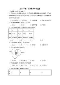 湖南省岳阳市岳阳县第一中学2024-2025学年高一上学期11月期中化学试题