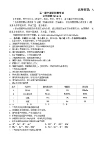 山东省潍坊市2024-2025学年高一上学期化学11月期中考试试卷(无答案)(01)