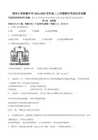 北京市清华大学附属中学2024～2025学年高二(上)期中化学试卷(含答案)