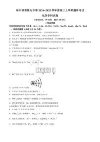 黑龙江省哈尔滨市第九中学校2024～2025学年高三(上)期中化学试卷(含答案)