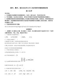 浙江省湖州、衢州、丽水三地市2024～2025学年高三(上)11月教学质量检测化学试卷(含答案)