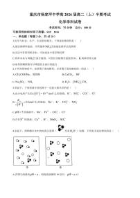 重庆市杨家坪中学2024～2025学年高二(上)期中考试化学学科试卷(含答案)