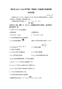 【北京卷】北京市通州区2024-2025学年高三上学期11月期中质量检测（11.21-11.23）化学试卷+答案