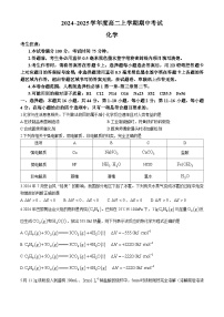 广东省深圳市深圳盟校2024-2025学年高二上学期11月期中考试化学试卷（Word版附解析）