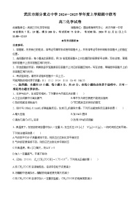 湖北省武汉市部分重点中学2024-2025学年高二上学期11月期中化学试卷（Word版附答案）
