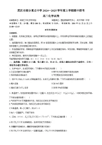 湖北省武汉市部分重点中学2024-2025学年高二上学期11月期中化学试卷（Word版附答案）