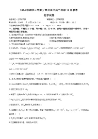 湖北省云学名校联盟2024-2025学年高二上学期11月联考化学试卷（Word版附答案）