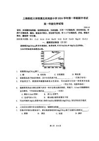 上海市上海财经大学附属北郊高级中学2024-2025学年高一上学期期中考试化学试题