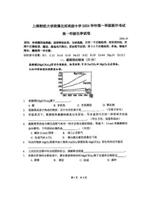 上海市上海财经大学附属北郊高级中学2024-2025学年高一上学期期中考试化学试题