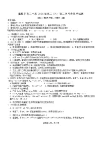 四川省攀枝花市第三高级中学校2024-2025学年高二上学期第二次月考化学试题
