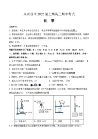 湖南省永州市第四中学2024-2025学年高三上学期期中考试 化学试题