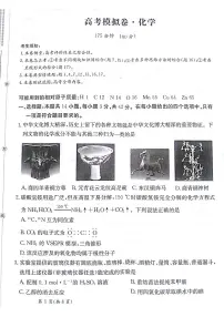 2025届甘肃省白银市靖远一中高三上学期11月期中考-化学试题+答案
