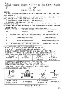 广西“贵百河—武鸣高中”2024-2025学年高二上学期11月新高考月考+化学试题