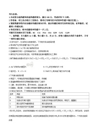 河北省沧州市三校联考2024-2025学年高三上学期11月期中考试化学试卷（Word版附解析）