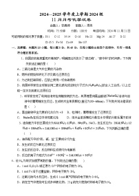 湖北省荆州市沙市中学2024-2025学年高一上学期11月月考化学试卷（Word版附答案）