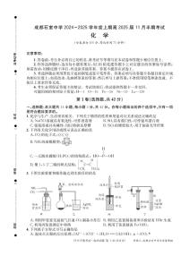 四川省成都市石室中学2024-2025学年高三上学期期中考试 化学试题