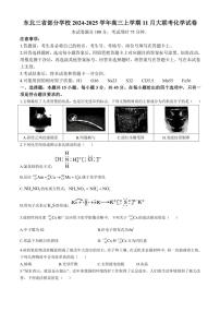 东北三省部分学校2024～2025学年高三(上)11月大联考化学试卷(含答案)