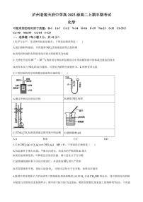 四川省泸州市泸州老窖天府中学2024～2025学年高二(上)半期(期中)考试化学试卷(含答案)