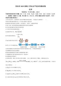 宁夏吴忠市2024～2025学年高三(上)学业水平适应性考试化学试卷(含答案)
