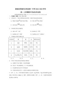 湖南省常德市汉寿县第一中学2024～2025学年高一(上)期中化学试卷(含答案)