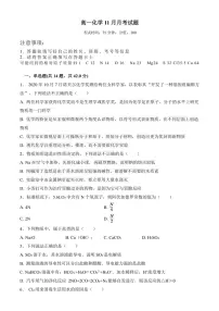 河南省周口市沈丘一高2024～2025学年高一(上)11月月考化学试卷(含答案)