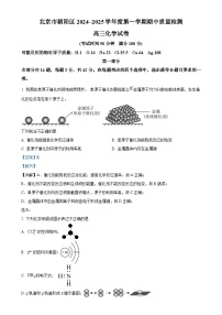 北京市朝阳区2024-2025学年高三上学期期中考试 化学试题 （解析版）-A4