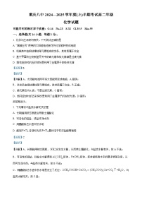 重庆市第八中学2024-2025学年高二上学期期中考试化学试题（Word版附解析）
