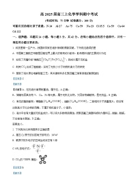 四川省自贡市旭川中学2024-2025学年高三上学期11月期中考试化学试题（Word版附解析）