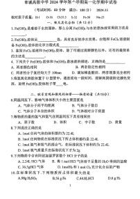 上海市奉城高级中学2024-2025学年高一上学期期中考试化学试卷+