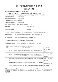 湖北省黄冈市黄梅县育才高级中学2024-2025学年高三上学期11月月考 化学试题(无答案)