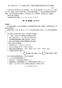 四川省泸州市2025届高三第一次教学质量诊断性考试化学试题