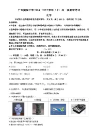 广东省实验中学2024-2025学年高一上学期期中考试化学试题