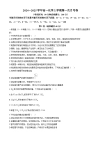 山东省潍坊市安丘市国开中学2024-2025学年高一上学期11月月考化学试题(无答案)