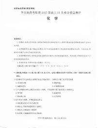 湖北省武汉市华大新高考联盟2024-2025学年高三上学期11月教学质量评测 化学试卷