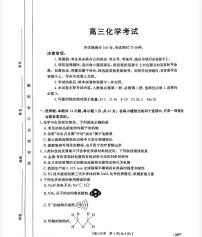 河南省驻马店市2024-2025学年高三上学期11月期中联考 化学试题