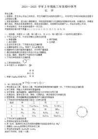 安徽省合肥卓越中学2024-2025学年高三上学期期中考试化学试卷