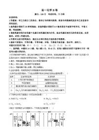 2025安徽省鼎尖教育高一上学期11月期中考试化学（B卷）无答案