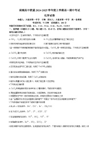辽宁省大连市滨城高中联盟2024-2025学年高一上学期期中考试化学试卷（Word版附答案）