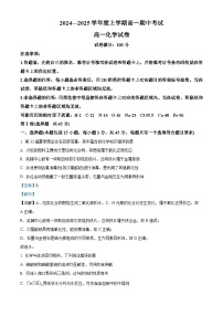 湖北省新高考联考协作体2024-2025学年高一上学期11月期中联考化学试卷（Word版附解析）