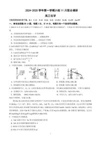2025届南京市六校联合体高三上学期11月月考化学试题+答案