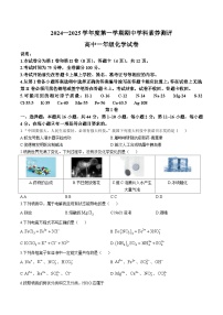 广东省茂名市化州市2024-2025学年高一上学期11月期中考试化学试卷（含答案）