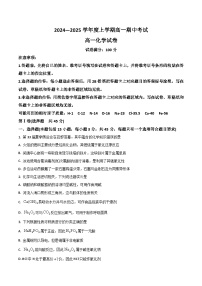 湖北省新高考2024-2025学年高一上学期11月期中考试化学试卷（含答案）