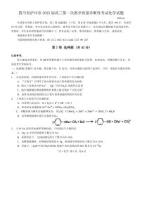 四川省泸州市2025届高三(上)第一次教学质量诊断性考试月考化学试卷(含答案)