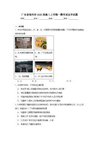 广东省韶关市2025届高三上学期一模考试化学试题