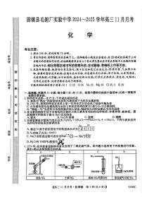 安徽省蚌埠市固镇县毛钽厂实验中学2024-2025学年高三上学期11月月考 化学试题