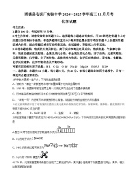 安徽省蚌埠市固镇县毛钽厂实验中学2024-2025学年高三上学期11月月考 化学试题